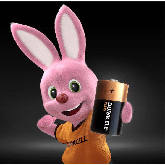 Duracell Plus Power Alkaline D Battery - Lasts Up to 50% Longer - Pack of 2
