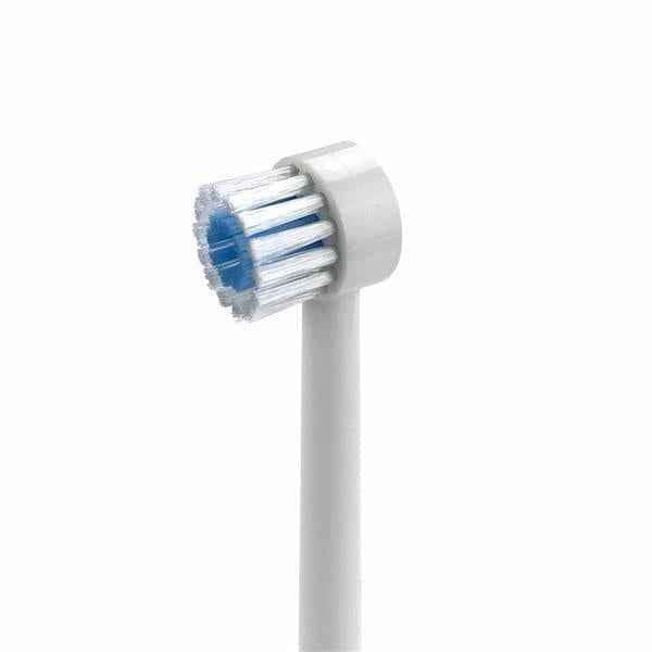Waterpik Dental Water Jet Replacement Toothbrush Tips TB100E for the WP450 or WP100