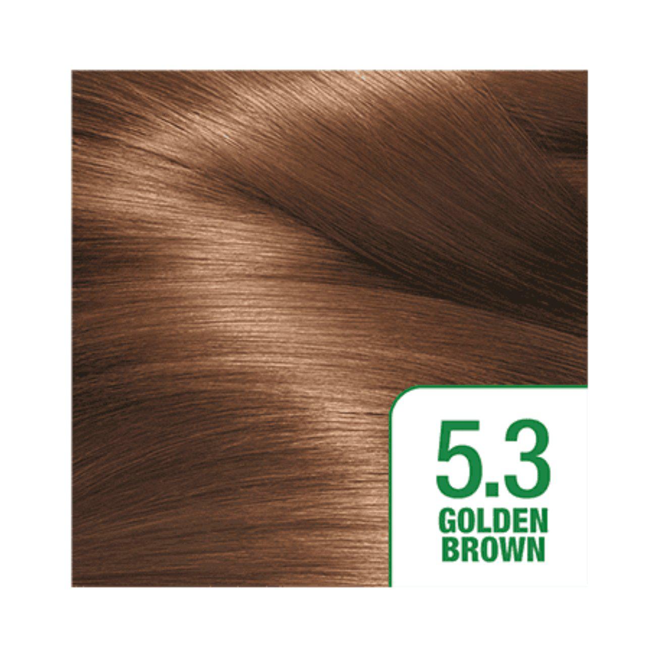 Garnier Nutrisse Permanent Hair Dye - 100% Grey Hair Coverage - Golden Brown 5.3