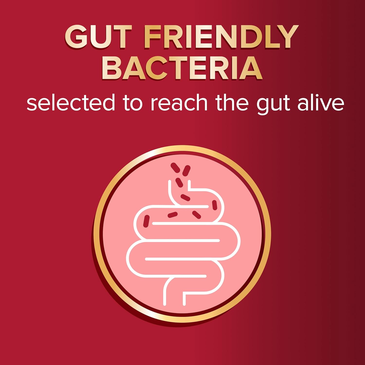 Seven Seas Omega-3 & Gut Friendly Bacteria: with Vitamin D, Omega-3 and Bacillus Subtilis, Food Supplements, 30-Day Pack